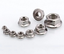 304 Stainless Steel Flange nuts